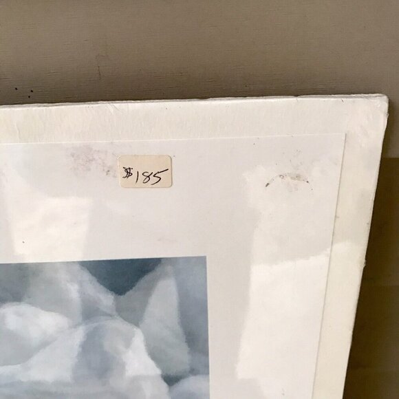 Charles Frace "Peace on Ice" Hand Signed & Numbered Print Autographed Harp Seals - Picture 2 of 11